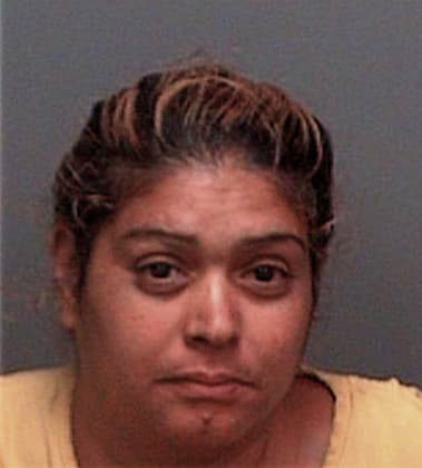 Roxanna Espinozanunez, - Pinellas County, FL 