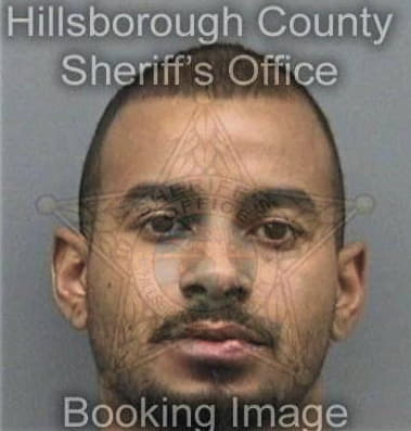 Richard Ferguson, - Hillsborough County, FL 