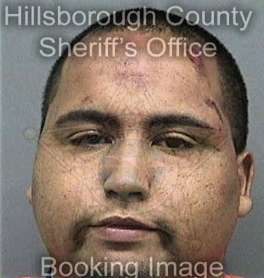 Sean Flannery, - Hillsborough County, FL 