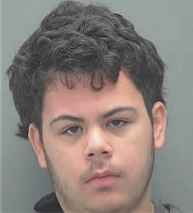 Pedro Llanes-Periana - Lee County, FL 