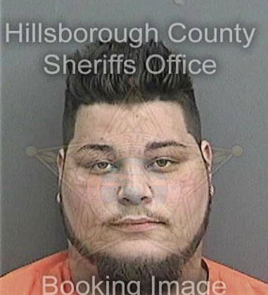 David Michel - Hillsborough County, FL 