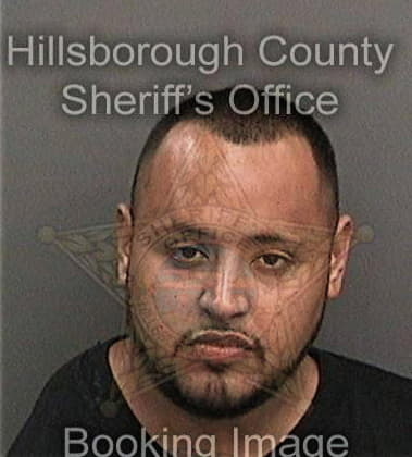 Ellsworth Miller - Hillsborough County, FL 