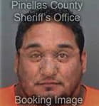 Manuel Moshanmartinez, - Pinellas County, FL 