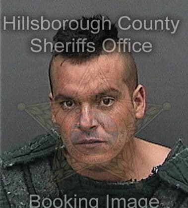 Jereme Nelson, - Hillsborough County, FL 