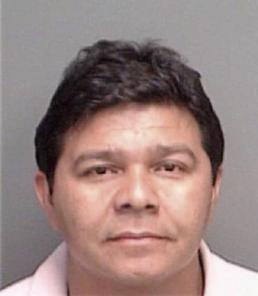 Simon Salvadormartinez, - Pinellas County, FL 