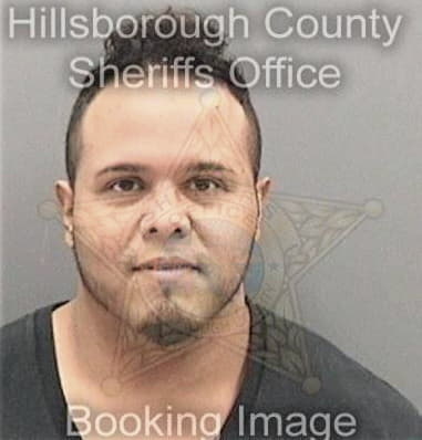 Andres Sarchi, - Hillsborough County, FL 