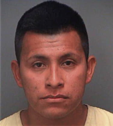 Hector Torres, - Pinellas County, FL 