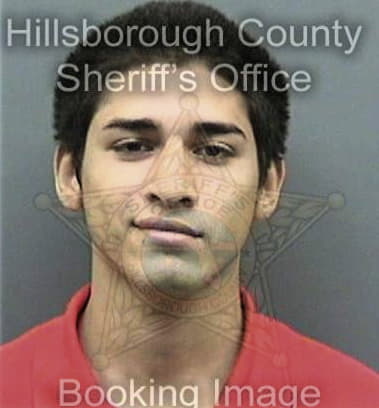 Gerbert Benitezmendez, - Hillsborough County, FL 