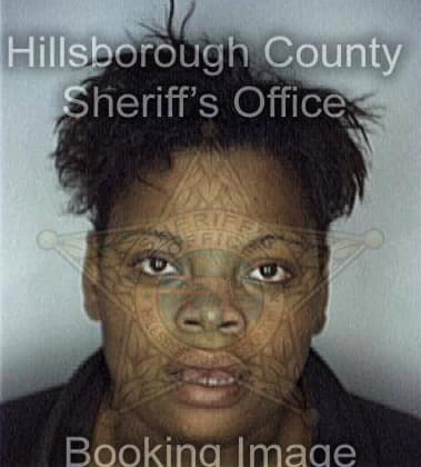 Nicole Boykin - Hillsborough County, FL 