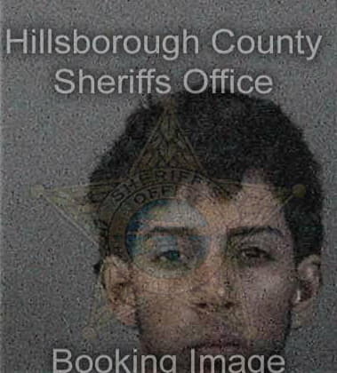 Armando Cardenas, - Hillsborough County, FL 