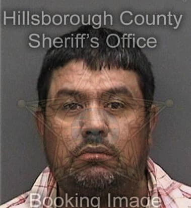 Marco Cerdo, - Hillsborough County, FL 