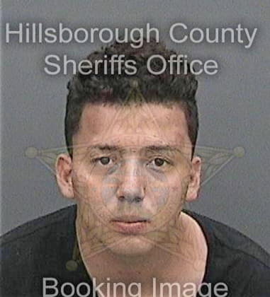 Diego Florentino, - Hillsborough County, FL 