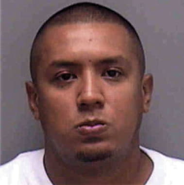 Roman Garcia, - Lee County, FL 