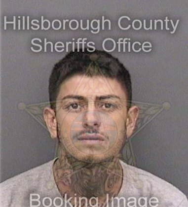 Ted Grossman, - Hillsborough County, FL 