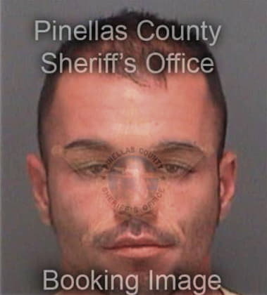 Michael Moiczek, - Pinellas County, FL 