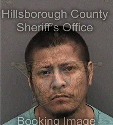 Juan Oyalte-Hernandez, - Hillsborough County, FL 