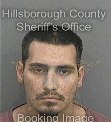 Abiram Reyes, - Hillsborough County, FL 