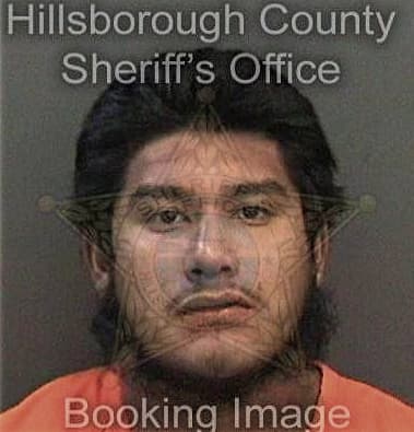 Joshua Rodriguez, - Hillsborough County, FL 