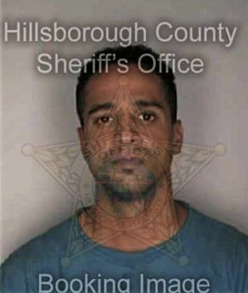 Reynaldo Garcia, - Hillsborough County, FL 