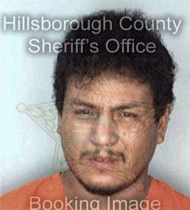 Moises Hernandez - Hillsborough County, FL 