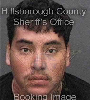 Roger Matson - Hillsborough County, FL 