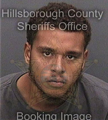 Ahmad Odeh, - Hillsborough County, FL 