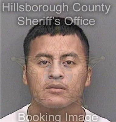 Donald Periana, - Hillsborough County, FL 