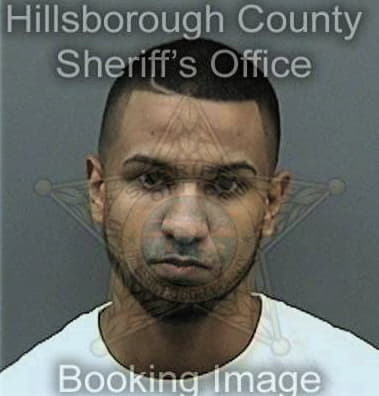 Andynson Rodriguezmercado, - Hillsborough County, FL 