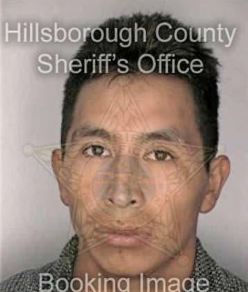 Cosme Sotelomartinez, - Hillsborough County, FL 