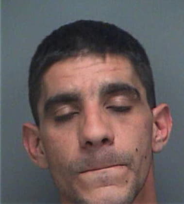 Michael Wick, - Pinellas County, FL 