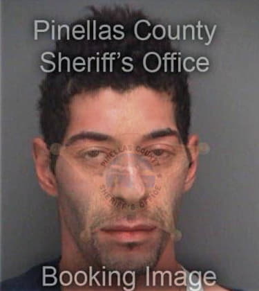 Brett Wolf, - Pinellas County, FL 