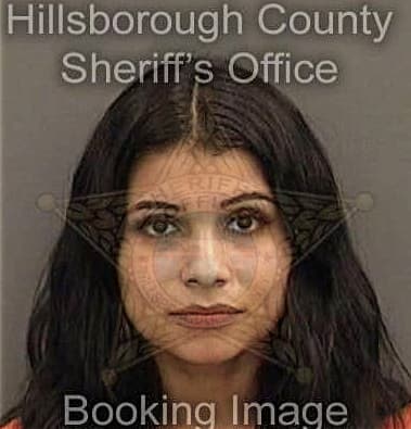 Watasha Alkhassawnih, - Hillsborough County, FL 