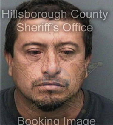 Richard Bolton - Hillsborough County, FL 