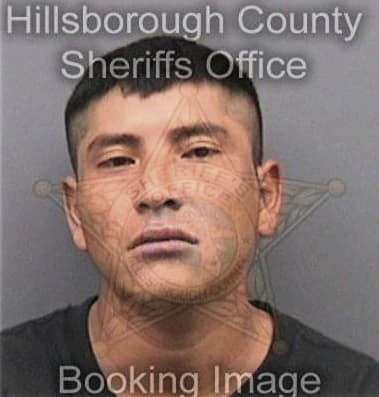 Carlos Deversdivision, - Hillsborough County, FL 