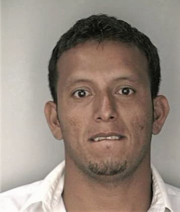 Timothy Hibbs - Hillsborough County, FL 