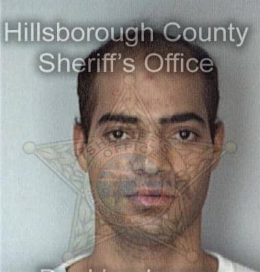 Paul Perez, - Hillsborough County, FL 