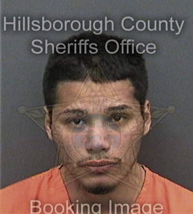 Wilfredo Sanchez, - Hillsborough County, FL 