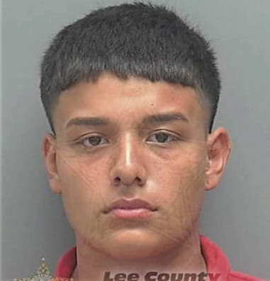 Anthony Succow, - Lee County, FL 