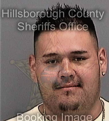 Fady Suleiman, - Hillsborough County, FL 