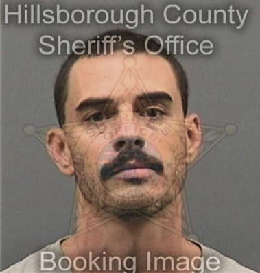 Christopher Wolf, - Hillsborough County, FL 