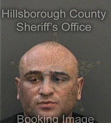 Allani Dejesus, - Hillsborough County, FL 