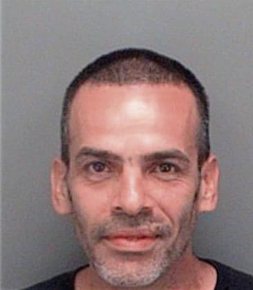 Anthony Emerito, - Pinellas County, FL 