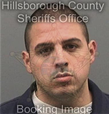 Lucas Garciagabriel, - Hillsborough County, FL 