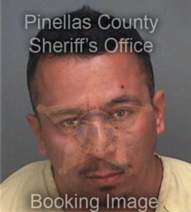 Damian Gonzalez, - Pinellas County, FL 