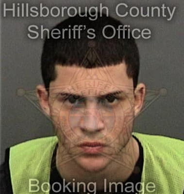 Carlos Pereiradelgado, - Hillsborough County, FL 