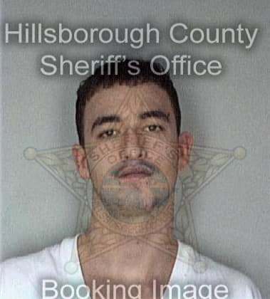 Roge Ramirezhernandez, - Hillsborough County, FL 