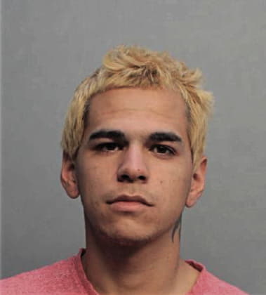 Steven Ricardo, - Dade County, FL 