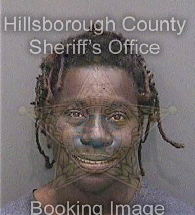 Tinesha Ashford, - Hillsborough County, FL 