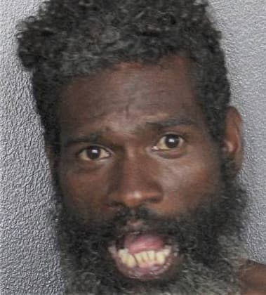 Ernest Brinson, - Broward County, FL 