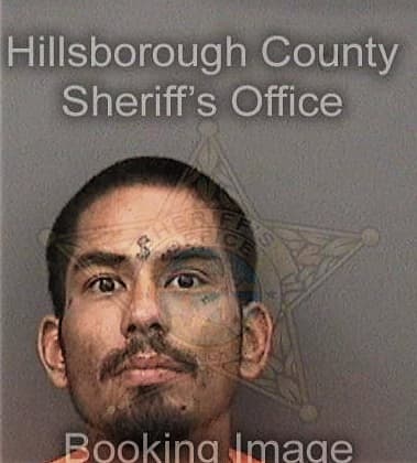 Ronal Cerritolinares, - Hillsborough County, FL 